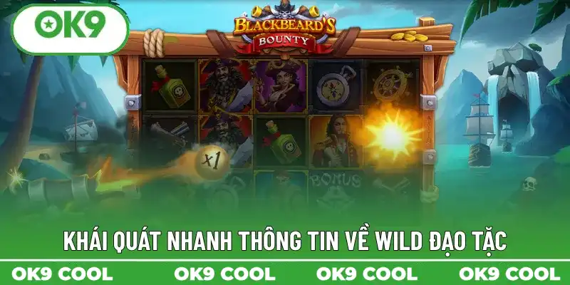 Khái quát nhanh thông tin về Wild đạo tặc Khái quát nhanh thông tin về Wild đạo tặc